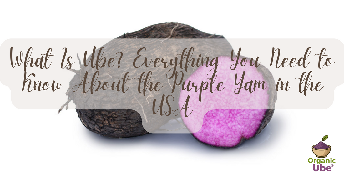 What Is Ube? Everything You Need to Know About the Purple Yam in the USA