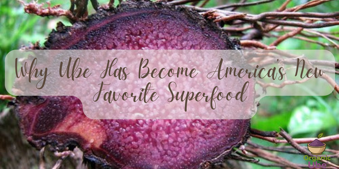 Why Ube Has Become America’s New Favorite Superfood