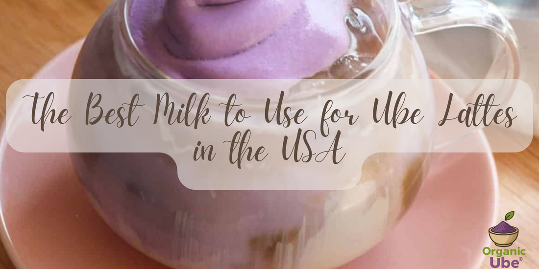 The Best Milk to Use for Ube Lattes in the USA (Dairy & Plant-Based Options)