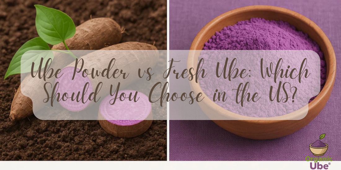 Ube Powder vs Fresh Ube: Which Should You Choose in the US?