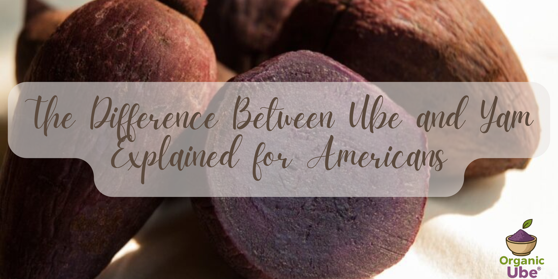 The Difference Between Ube and Yam Explained for Americans