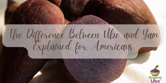 The Difference Between Ube and Yam Explained for Americans