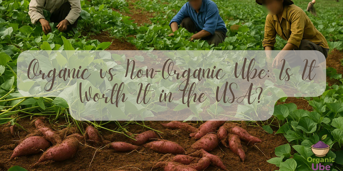 Organic vs Non-Organic Ube: Is It Worth It in the USA?