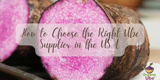 How to Choose the Right Ube Supplier in the USA