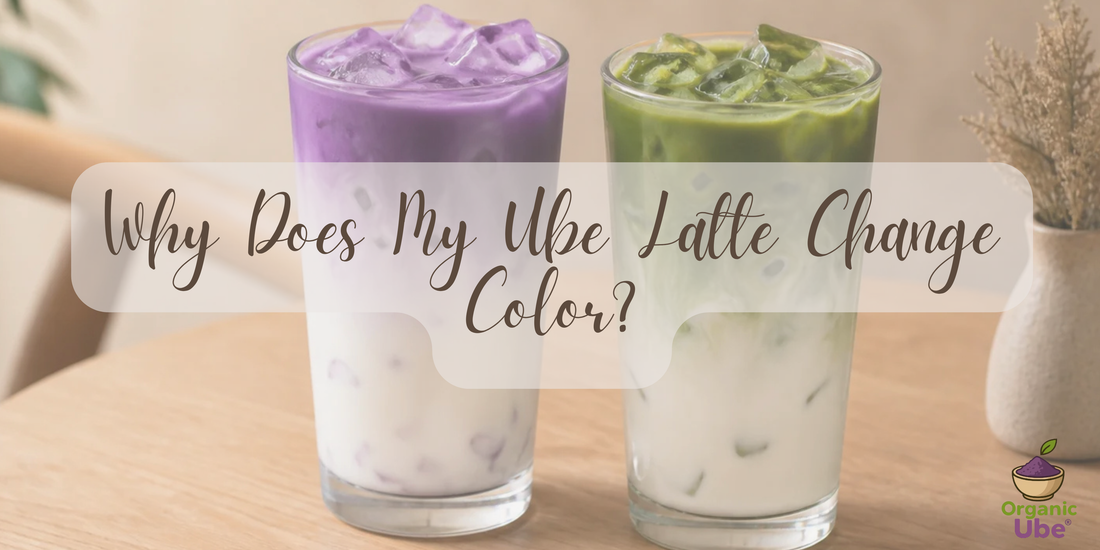 Why Does My Ube Latte Change Color?